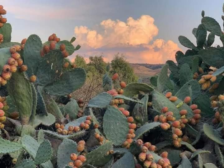 Belli Come Il Sole Serri Exteriér fotografie